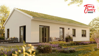 News-06-09-Dachbegrünung