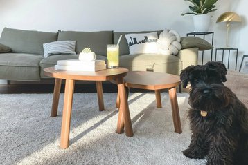 katja-rooke-11HgK_P8uW0-unsplash